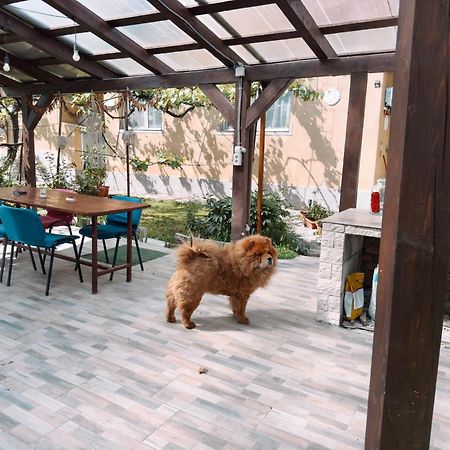 Yard Studio Rasnov Apartment Exterior photo