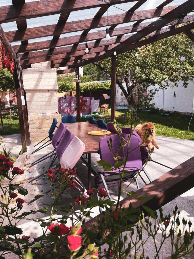 Yard Studio Rasnov Apartment Exterior photo