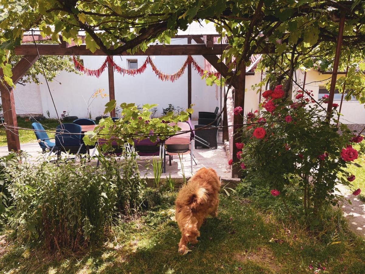 Yard Studio Rasnov Apartment Exterior photo