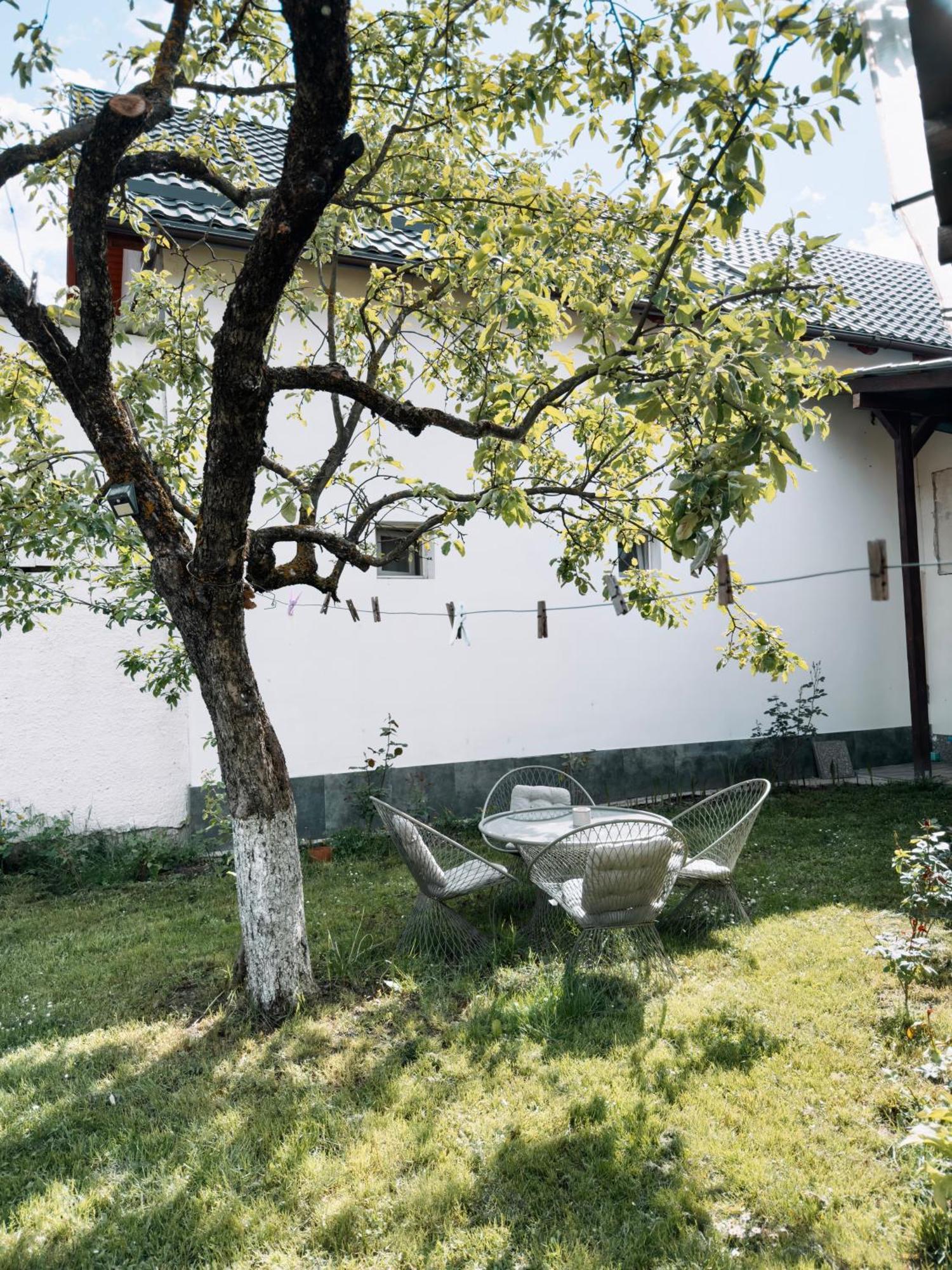 Yard Studio Rasnov Apartment Exterior photo