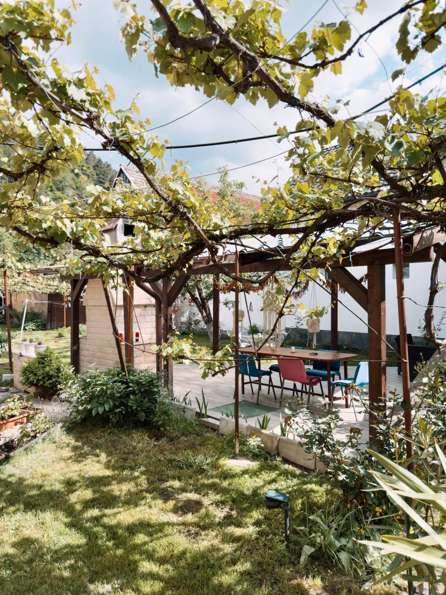 Yard Studio Rasnov Apartment Exterior photo