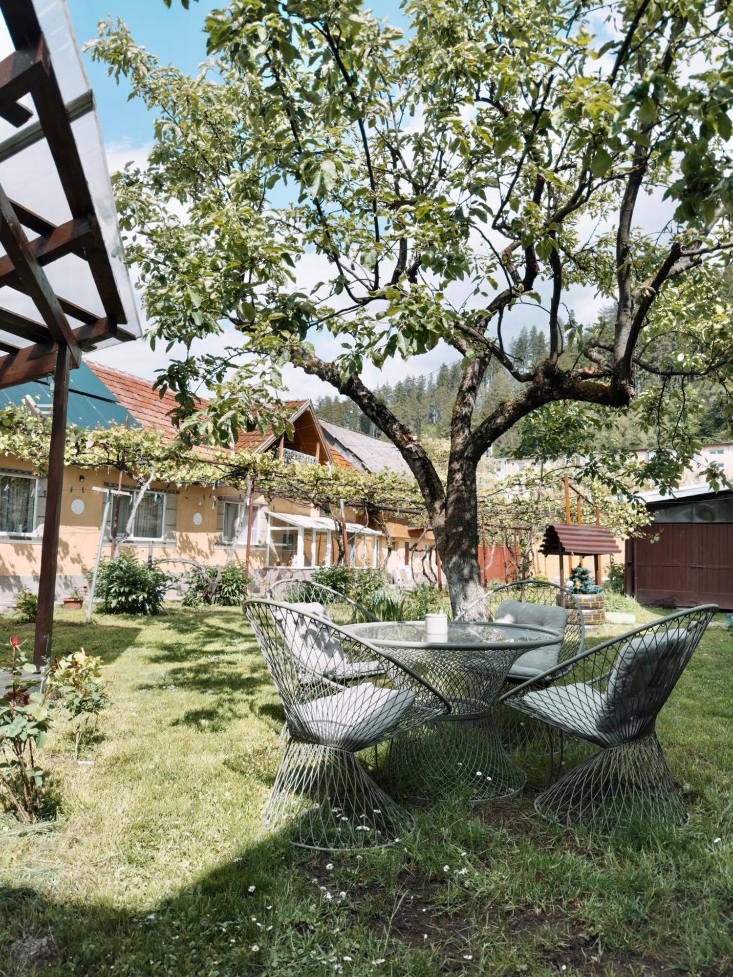 Yard Studio Rasnov Apartment Exterior photo