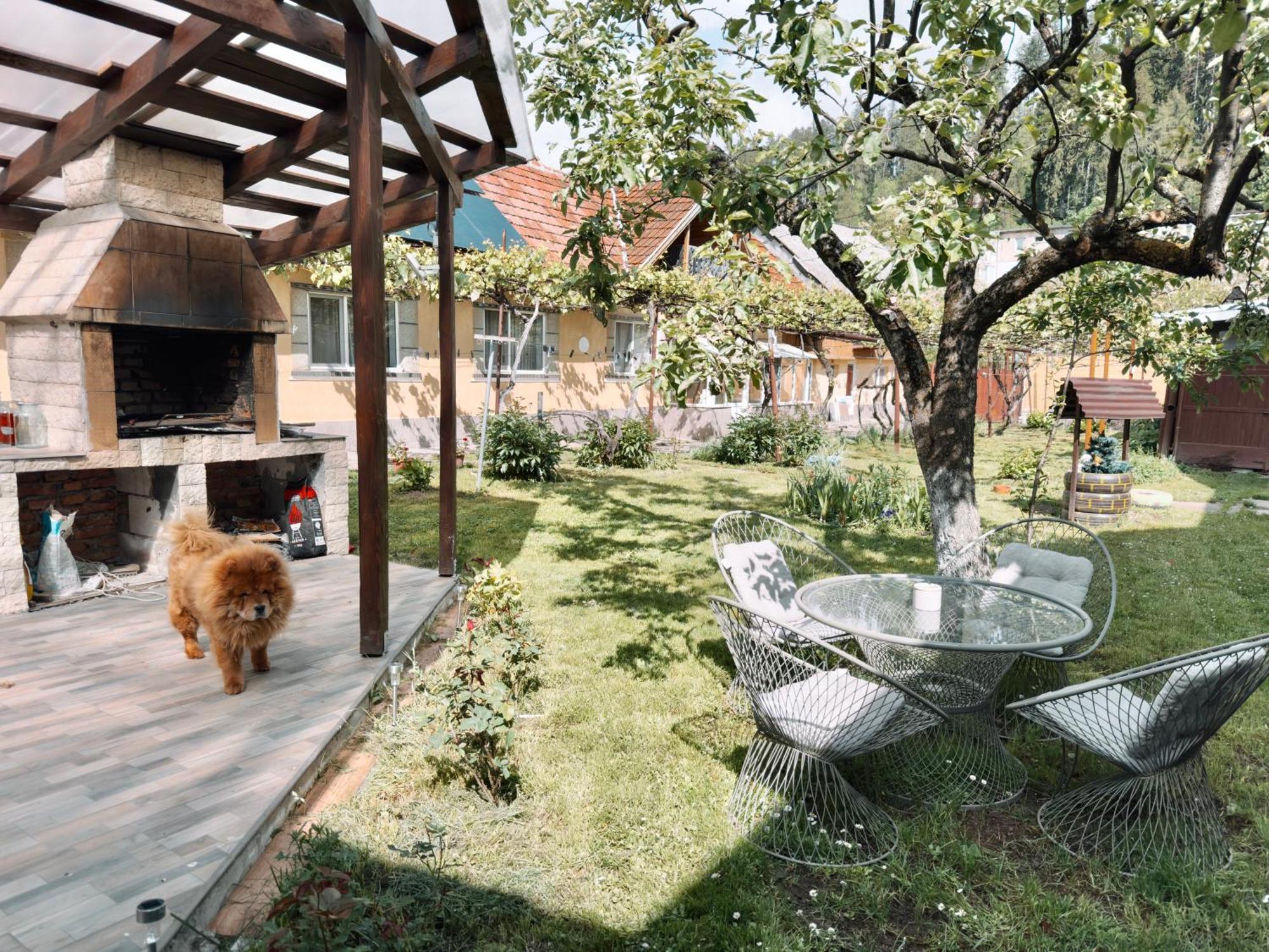 Yard Studio Rasnov Apartment Exterior photo