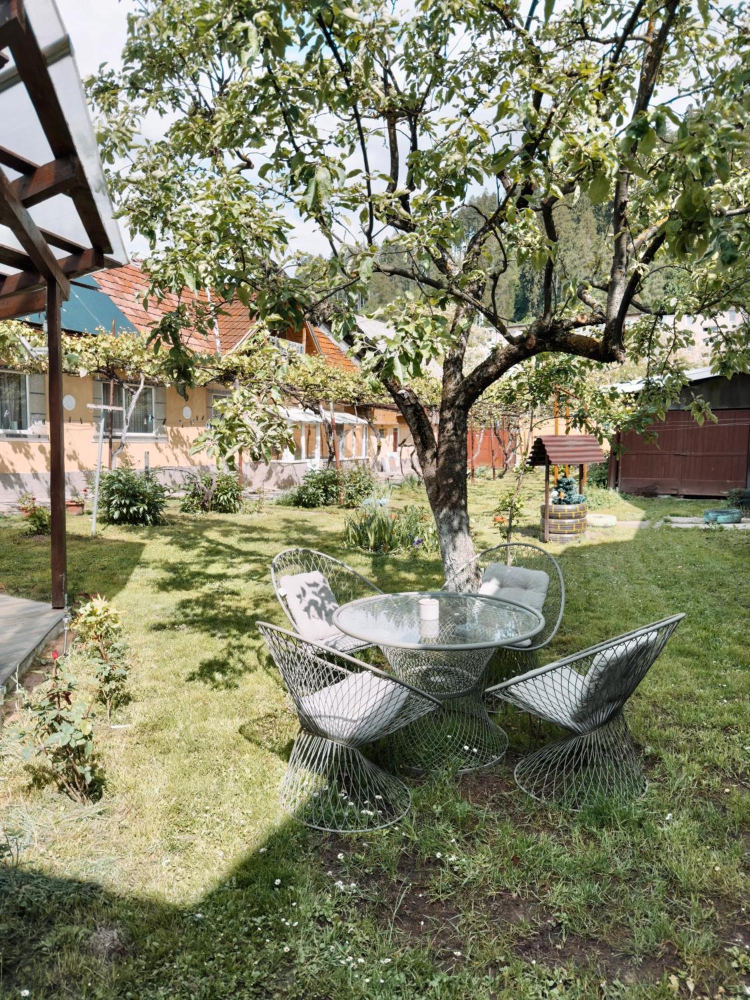 Yard Studio Rasnov Apartment Exterior photo